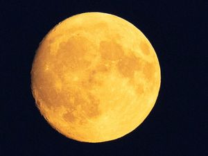 Fenomena Bulan Purnama-Tanduk Rusa Terjadi Besok! Fenomena Bulan Purnama-Tanduk Rusa Terjadi Besok!
