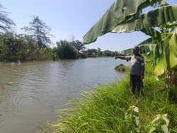 Mitos Tedak Kroman, Siluman Buaya Sungai Kedungpeluk Sidoarjo