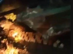 Buaya Raksasa Muncul di Tepi Sungai Kedungpuk, Warga Geger