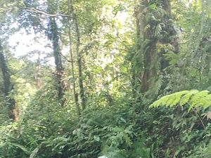 Pembalap Internasional Mulai Berdatangan Jelang Tour de Banyuwangi Ijen Pembalap Internasional Mulai Berdatangan Jelang Tour de Banyuwangi Ijen