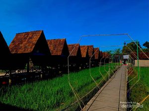 Ini Lembah Desa Pulutan Gunungkidul, Cocok buat Ngadem Ini Lembah Desa Pulutan Gunungkidul, Cocok buat Ngadem