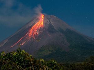 Gunung Merapi Semburkan 31 Kali Guguran Lava Pijar Gunung Merapi Semburkan 31 Kali Guguran Lava Pijar