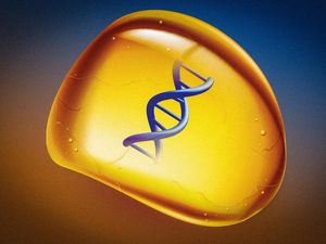 Peneliti Kembangkan Kapsul DNA untuk Simpan Foto hingga Lagu, Apa Sebabnya? Peneliti Kembangkan Kapsul DNA untuk Simpan Foto hingga Lagu, Apa Sebabnya?