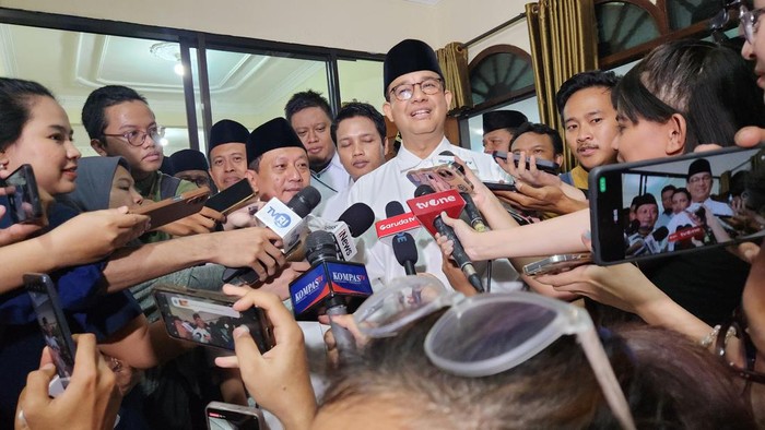 Mantan Gubernur DKI Jakarta Anies Baswedan (Adrial/detikcom)