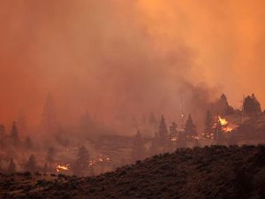 2 Orang Tewas Akibat Kebakaran Hutan di Kanada, Ribuan Warga Mengungsi 2 Orang Tewas Akibat Kebakaran Hutan di Kanada, Ribuan Warga Mengungsi