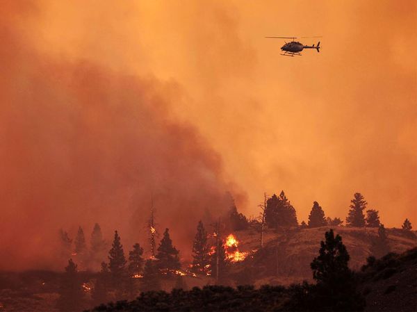 Penampakan Kebakaran Lalap Hutan di Kanada