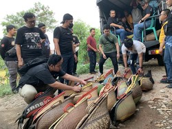 Arena Judi Sabung Ayam Legok Stadium Dikamuflase Jadi Kandang Kuda