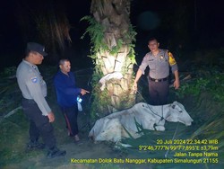 Kepergok Curi Sapi, 2 Satpam di Simalungun Dimassa-Motor Dibakar Warga