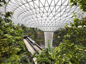 Hadeh, Turis China Kepergok Mencuri Tas di Bandara Changi Hadeh, Turis China Kepergok Mencuri Tas di Bandara Changi