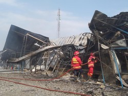 Kandang Terbakar di Tulungagung, 60 Ribu Anak Ayam Mati-Kerugian Rp 8 M