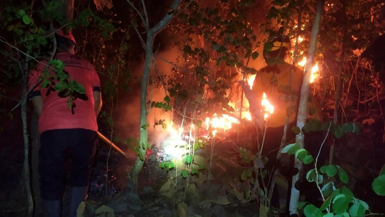 2 Hektare Hutan di Gunung Jaas Trenggalek Terbakar