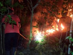 2 Hektare Hutan di Gunung Jaas Trenggalek Terbakar