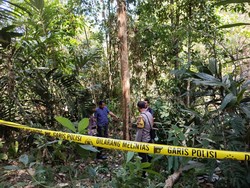 Jatuh dari Pohon Duku 12 Meter Saat Panen Merica, Petani di Kulon Progo Tewas