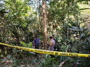 Jatuh dari Pohon Duku 12 Meter Saat Panen Merica, Petani di Kulon Progo Tewas Jatuh dari Pohon Duku 12 Meter Saat Panen Merica, Petani di Kulon Progo Tewas
