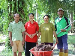 Kisah Emil, Anak Buruh Serabutan Asal Mamuju yang Tembus Kuliah Gratis di UGM