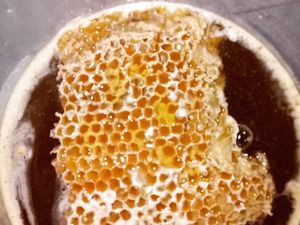 Madu Pelawan, Madu Pahit Asli Indonesia yang Istimewa