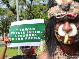 Disorot Dunia, Proyek Pemerintah di Papua Disebut Bakal Jadi Deforestasi Terbesar