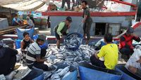 Mengintip Aktivitas Nelayan di Pelabuhan Nizam