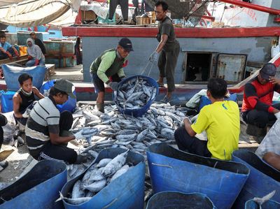 Mengintip Aktivitas Nelayan di Pelabuhan Nizam