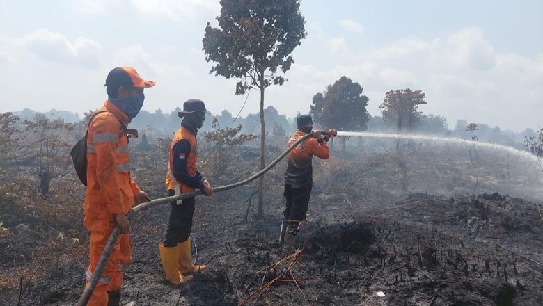 Lahan Terbakar di Muba Jenis Gambut Tebal, Meluas hingga 46 Hektare