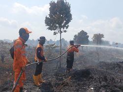 Lahan Terbakar di Muba Jenis Gambut Tebal, Meluas hingga 46 Hektare
