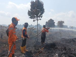 Lahan Terbakar di Muba Jenis Gambut Tebal, Meluas hingga 46 Hektare