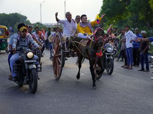 Serunya Lomba Balap Kereta Kuda Tradisional di India Serunya Lomba Balap Kereta Kuda Tradisional di India