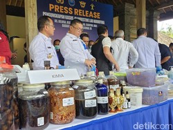 BNN Turut Geledah Rumah Inisiator Pabrik Narkoba di Gianyar Bali