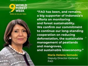 FAO & Indonesia Lanjutkan Kerja Sama Tekan Deforestasi & Kelola Mangrove