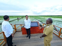 Didampingi Iriana, Jokowi Tinjau Simulasi Drone Tabur Pupuk di Papua Selatan
