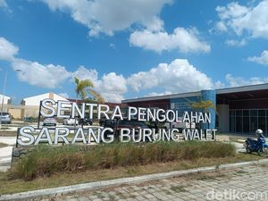 Sentra Pengolahan Sarang Walet di Lombok Tengah Sepi Peminat