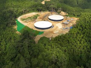 Air di IKN Mulai Mengalir, Bisa Langsung Diminum! Air di IKN Mulai Mengalir, Bisa Langsung Diminum!
