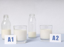 Metode Efektif Menyimpan Susu Sapi Agar Tahan Lebih Lama