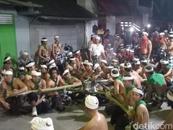Melihat Tradisi Bukakak Desa Sudaji, Babi Hitam Legam Jadi Persembahan
