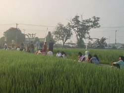 Nikmatnya Sarapan di Tepi Sawah dengan Pemandangan Perbukitan