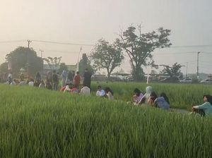 Nikmatnya Sarapan di Tepi Sawah dengan Pemandangan Perbukitan Nikmatnya Sarapan di Tepi Sawah dengan Pemandangan Perbukitan