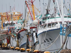 Kapal Kargo Tenggelam di Perairan Taiwan, 9 Pelaut Hilang