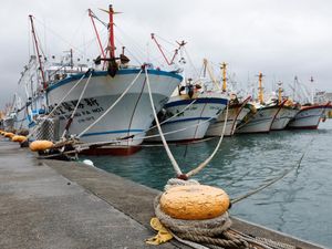 Ada Topan Gaemi, Nelayan di Taiwan Puasa Melaut Ada Topan Gaemi, Nelayan di Taiwan Puasa Melaut