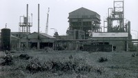 Ngerinya Kebocoran Gas Paling Mematikan dalam Sejarah, 3 Ribu Orang Tewas