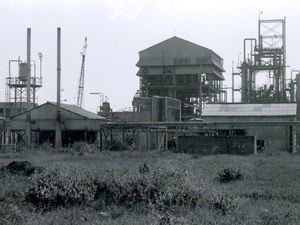 Ngerinya Kebocoran Gas Paling Mematikan dalam Sejarah, 3 Ribu Orang Tewas
