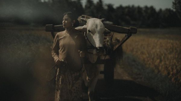Foto: Gaya Estetis Dian Sastrowardoyo Hingga Putri Marino Berkebaya di Sawah