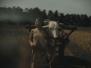 Foto: Gaya Estetis Dian Sastrowardoyo Hingga Putri Marino Berkebaya di Sawah Foto: Gaya Estetis Dian Sastrowardoyo Hingga Putri Marino Berkebaya di Sawah