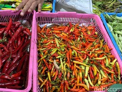 Harga Cabai di Surabaya Makin Pedas Tembus Rp 95 Ribu/Kg