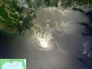 10 Bencana Terburuk Akibat Ulah Manusia, Ada Indonesia