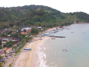 Menilik Pesona Agrowisata Desa Kelawi, Desa BRILiaN Hijau di Lampung