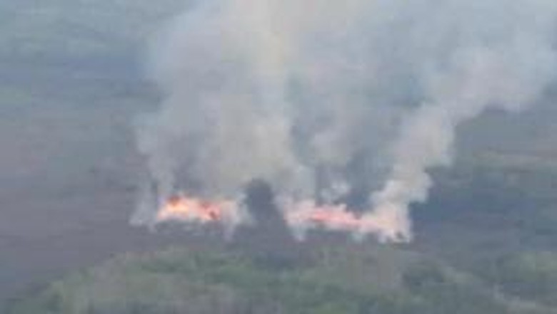 Karhutla Sumsel Meluas di 8 Daerah, Ini Sebaran Wilayahnya