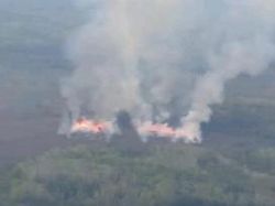 Karhutla di 8 Wilayah Sumsel Meluas, Tim Gabungan Berjibaku Padamkan