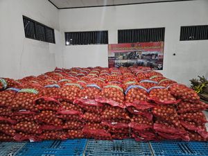 Pria Kalteng Selundupkan 8,4 Ton Bawang Bombai Asal Australia Ditangkap Pria Kalteng Selundupkan 8,4 Ton Bawang Bombai Asal Australia Ditangkap