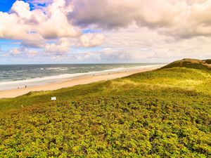 Protes Elitisme Wisata, Punk Jerman Menduduki Pulau dengan Bertenda