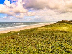 Protes Elitisme Wisata, Punk Jerman Menduduki Pulau dengan Bertenda